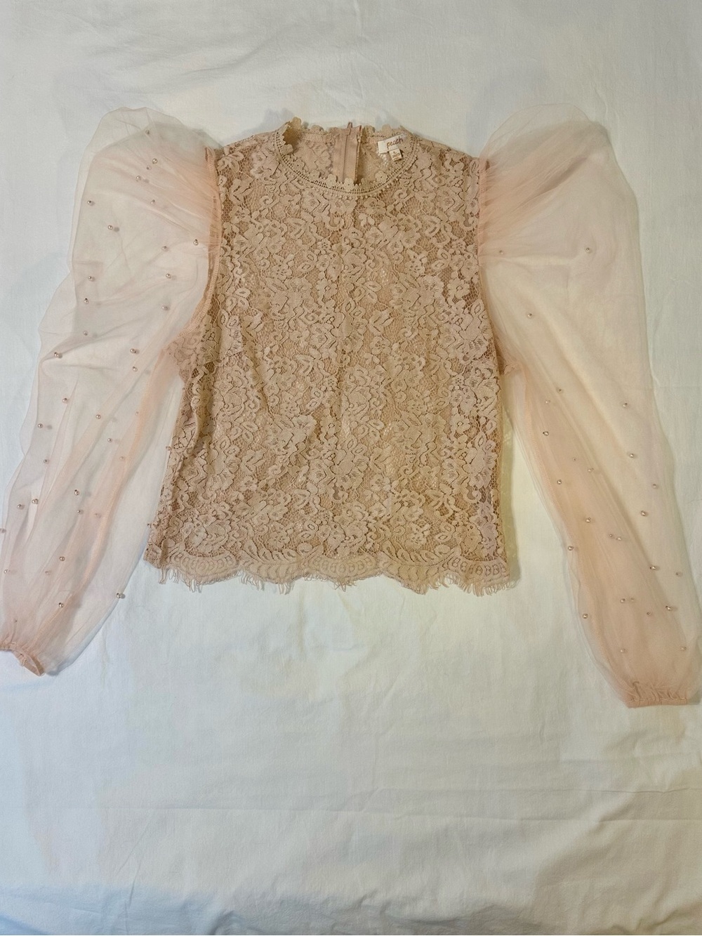 Peach Couture Sheer Beaded Lace Blouse - Blush Pink